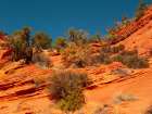 USA, Utah, Kanab, Peekaboo Canyon Entrance Area Art Print